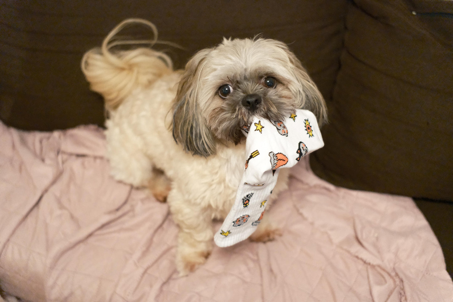 Socks "Cut Here"